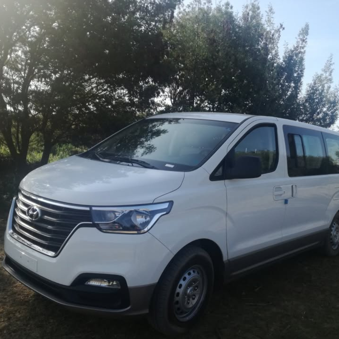 Imagen del auto
